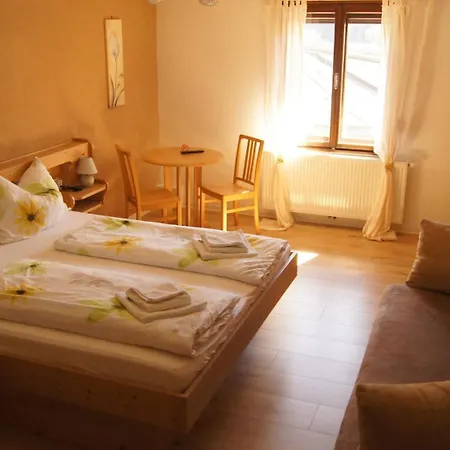 Goldener Loewe Hotel 3*